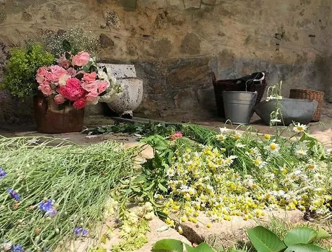 Napoli * Stara Cervena Voda